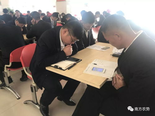 千錘百煉為今朝，淡定應考展風采——2018年華南營銷總部三力技術營銷農化服務力現場通關火熱進行